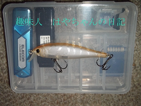 メンバー限定 ビ・フリーズ S