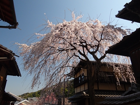DSC04227_R