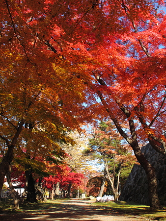 盛岡城跡公園(岩手公園)にて・3