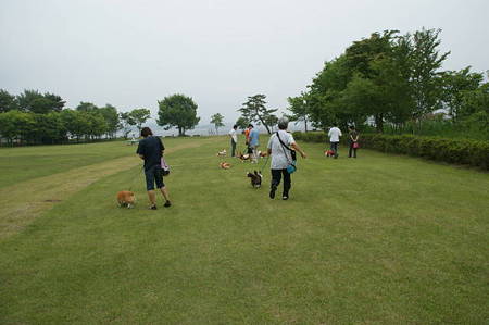 DSC01638