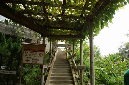 DSC02249