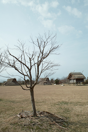 Yayoi_Park03042012dp1-04