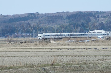 Thunder-bird03042012nex5