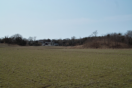 field03112012dp2