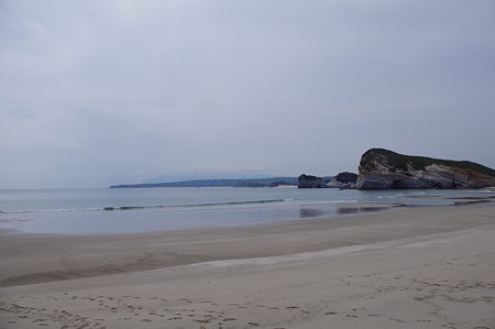 IMGP5552
