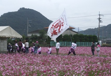 DSCF6148_1106