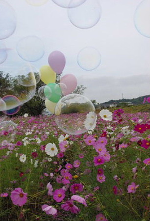 IMGP8142_1022
