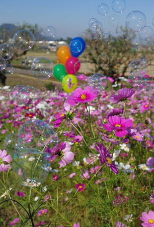 IMGP8779_1029