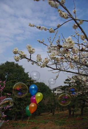 IMGP8600_0310