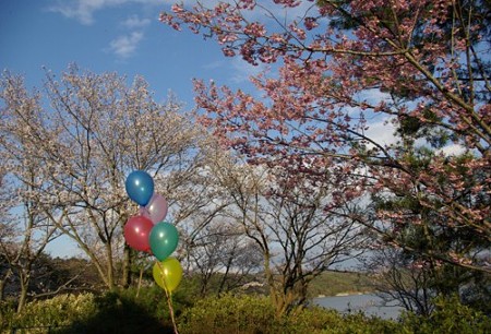 IMGP0167_0407