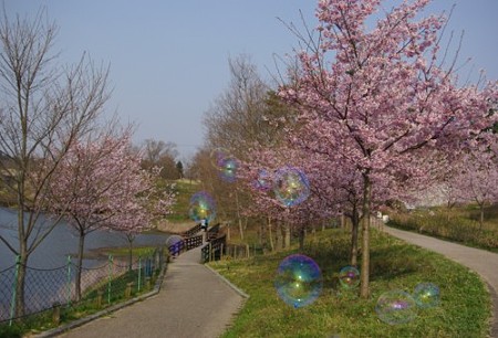 IMGP1425_0408b