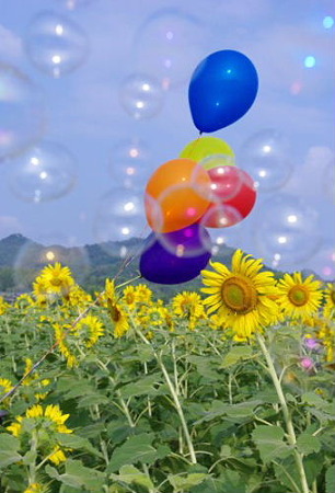 IMGP8534_0723