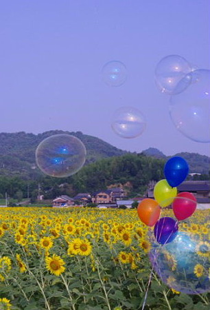 IMGP8478_0723