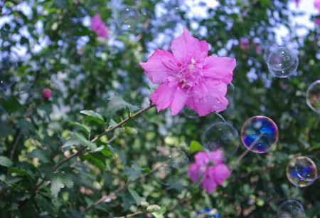 IMGP8909_0723