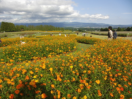 生駒高原