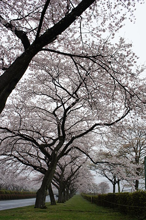 DSC02219