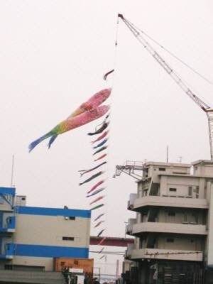 こいのぼり2012