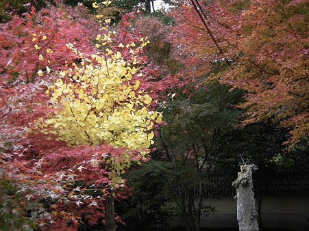 京都 102