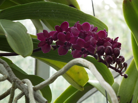 DSCF0097