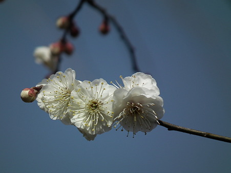 DSCF0060