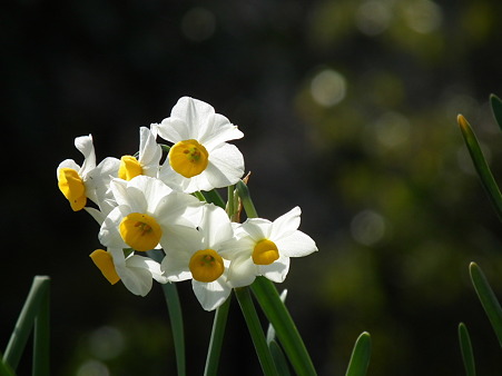 DSCF0088