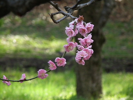 DSCF0281
