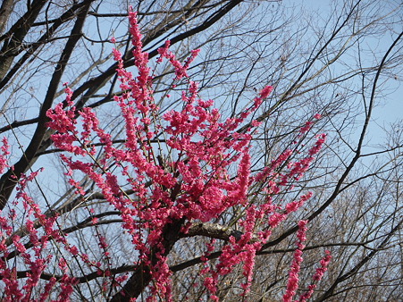IMGP0071