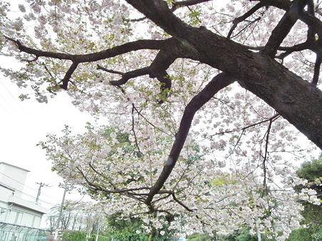 DSCF0025