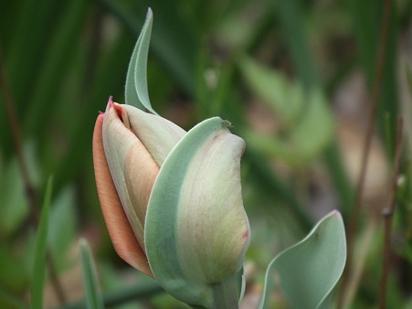 DSCF0097