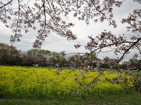 DSCF0673
