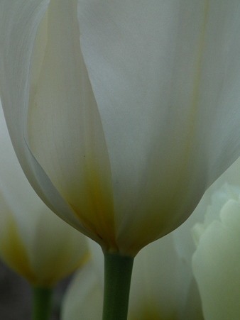 DSCF0196