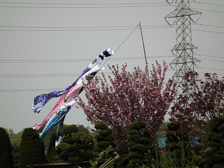 DSCF0284