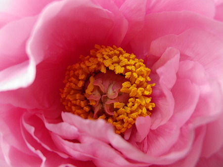 IMGP0048