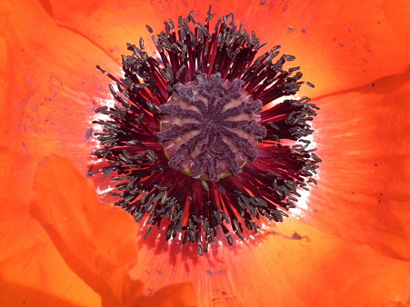 DSCF0059