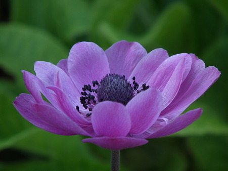 DSCF0429