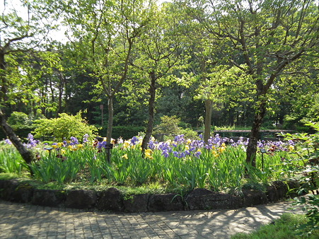 DSCF0478