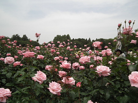 DSCF0198