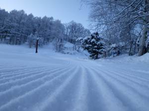 IMGP1615_R