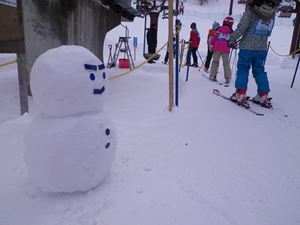 IMGP2232_R
