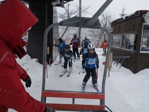 IMGP2520_R