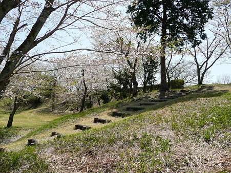 明星山山頂