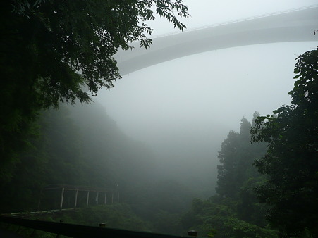須津渓谷2011