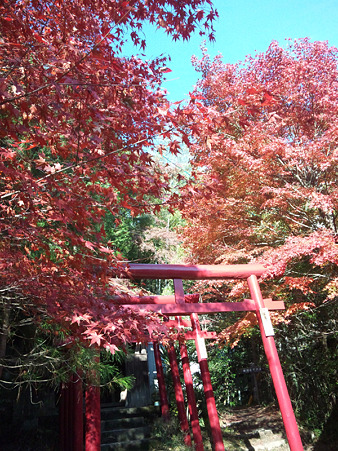 岩屋堂紅葉4