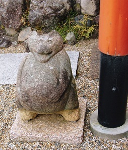 2012年01月09日_DSC_0503不空院 狸