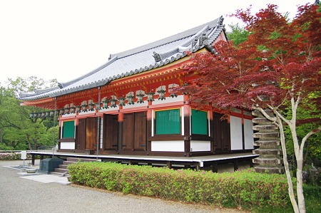 壷阪寺 灌頂堂 2012年05月04日_DSC_2350
