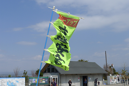2012401sakura01