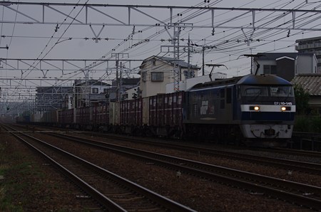 IMGP1291