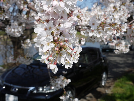 P1000965.JPG