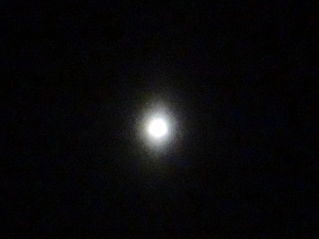 西空に一際輝く金星