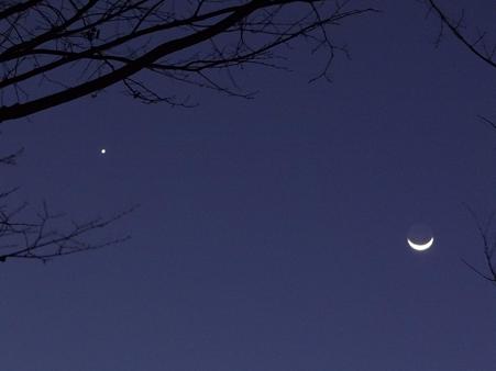 木陰からの金星と月